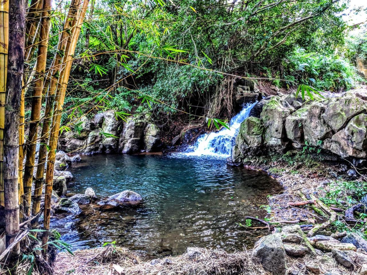 Hamakua Guesthouse Pepeekeo Buitenkant foto